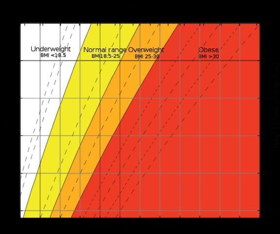 When was the Body Mass Index invented? – When was it invented?